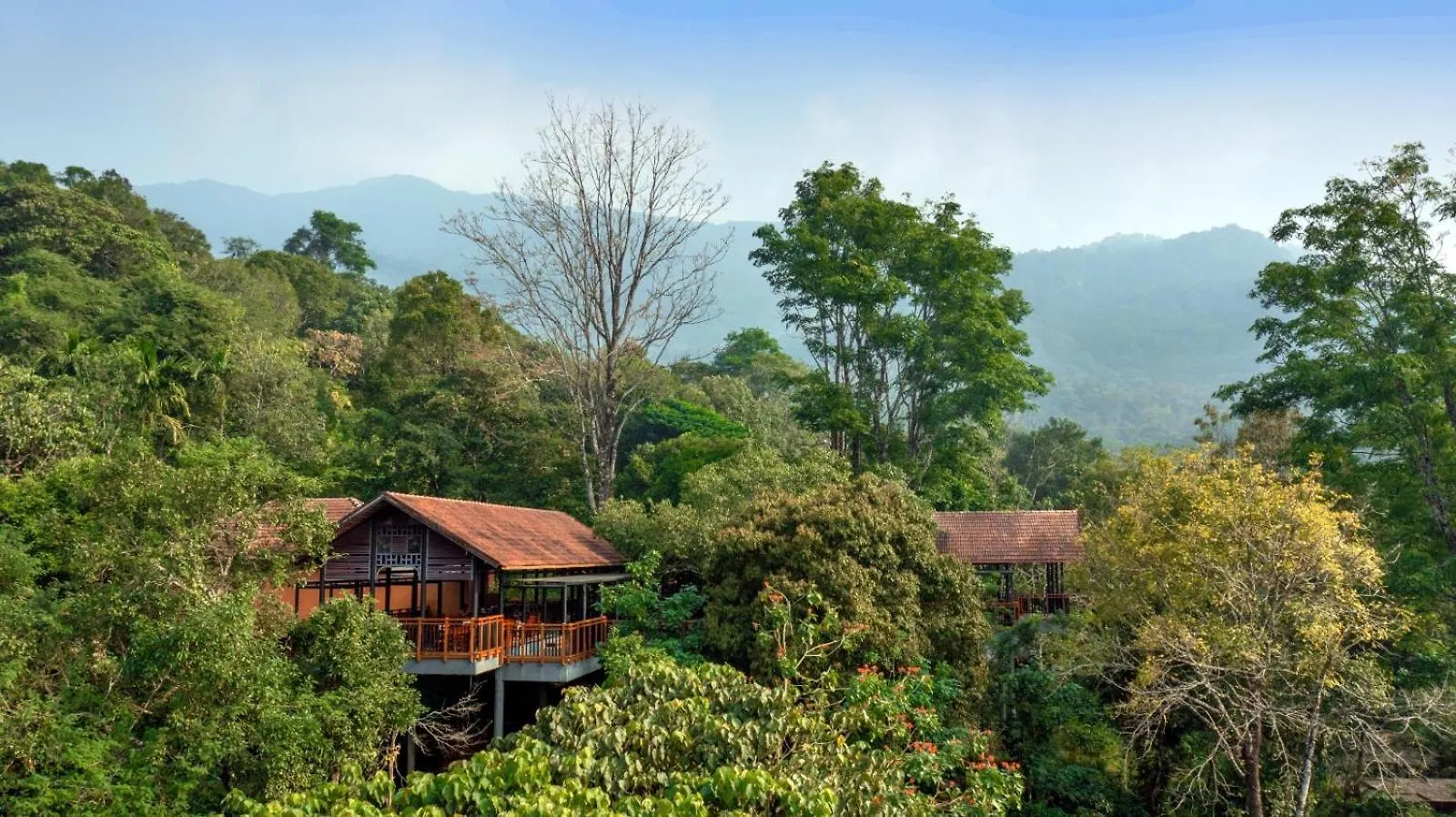 Vythiri Mist Resort