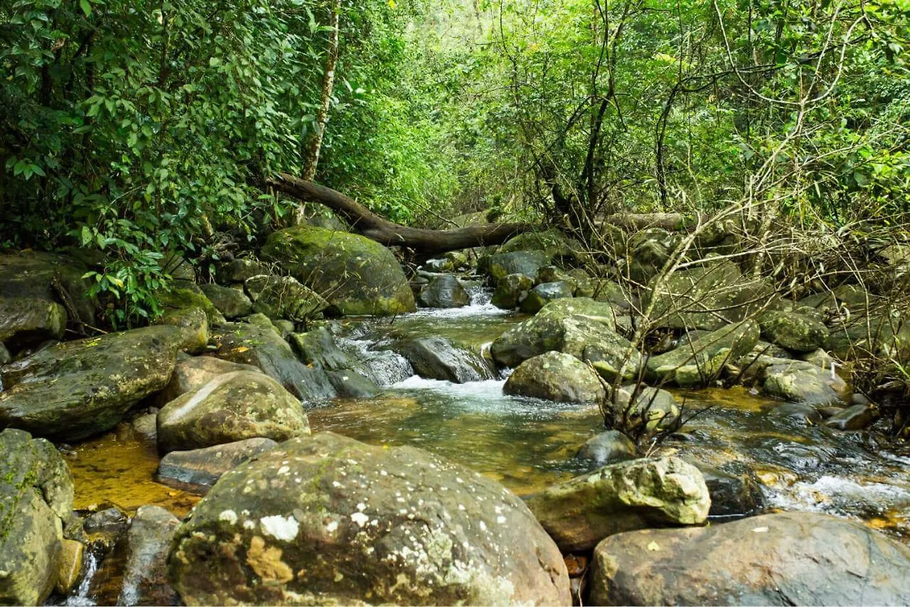 Vythiri Mist Resort