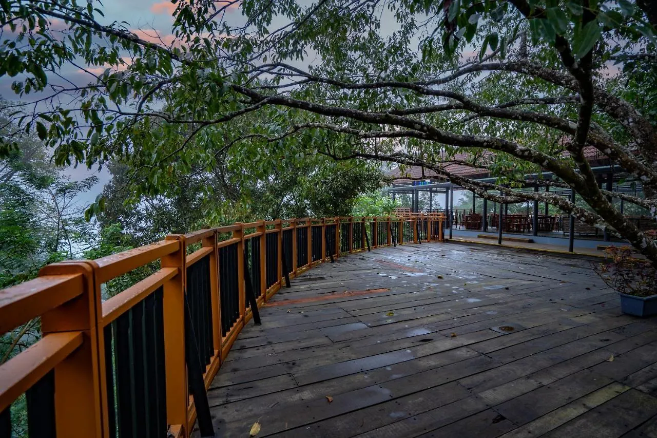 Vythiri Mist Resort