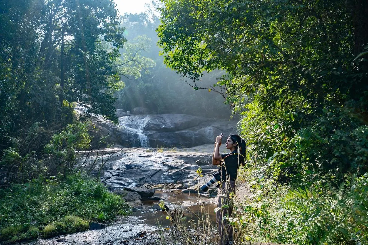 Vythiri Mist Resort インド