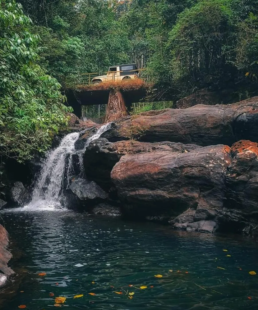 Vythiri Mist Resort